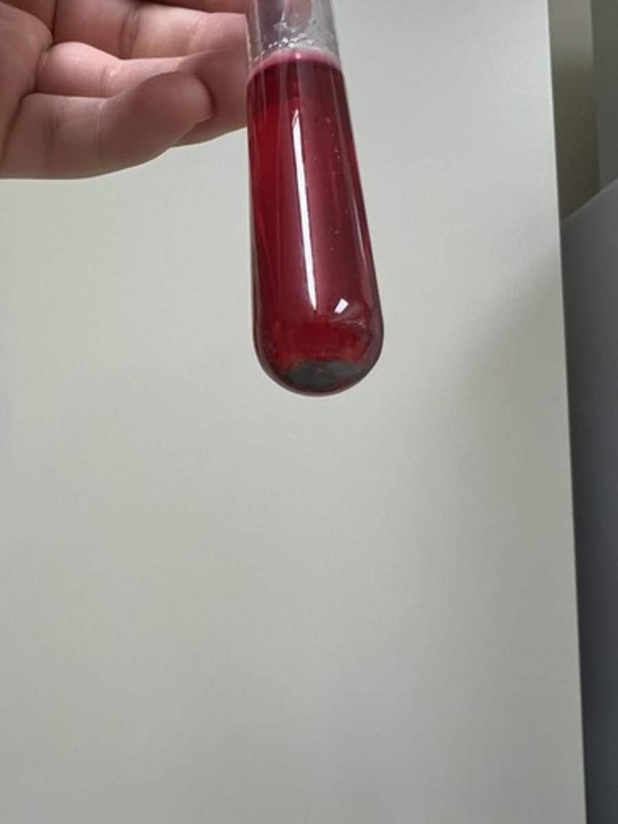 <p>Zinc reduces Nitrate NOT the organism.</p>