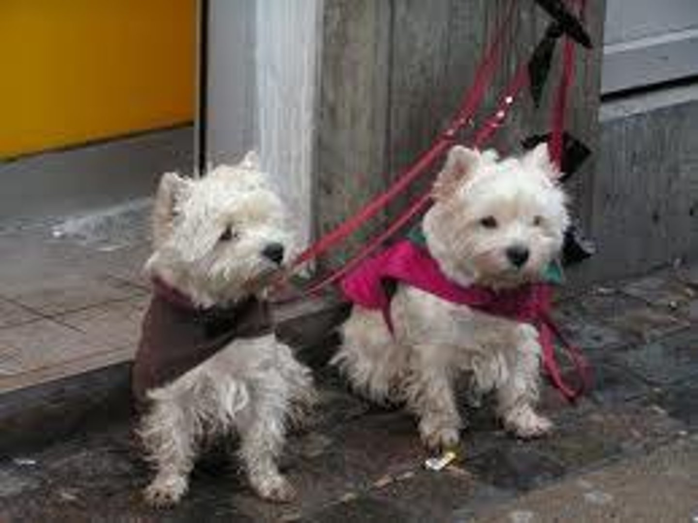 <p>to leave behind</p>