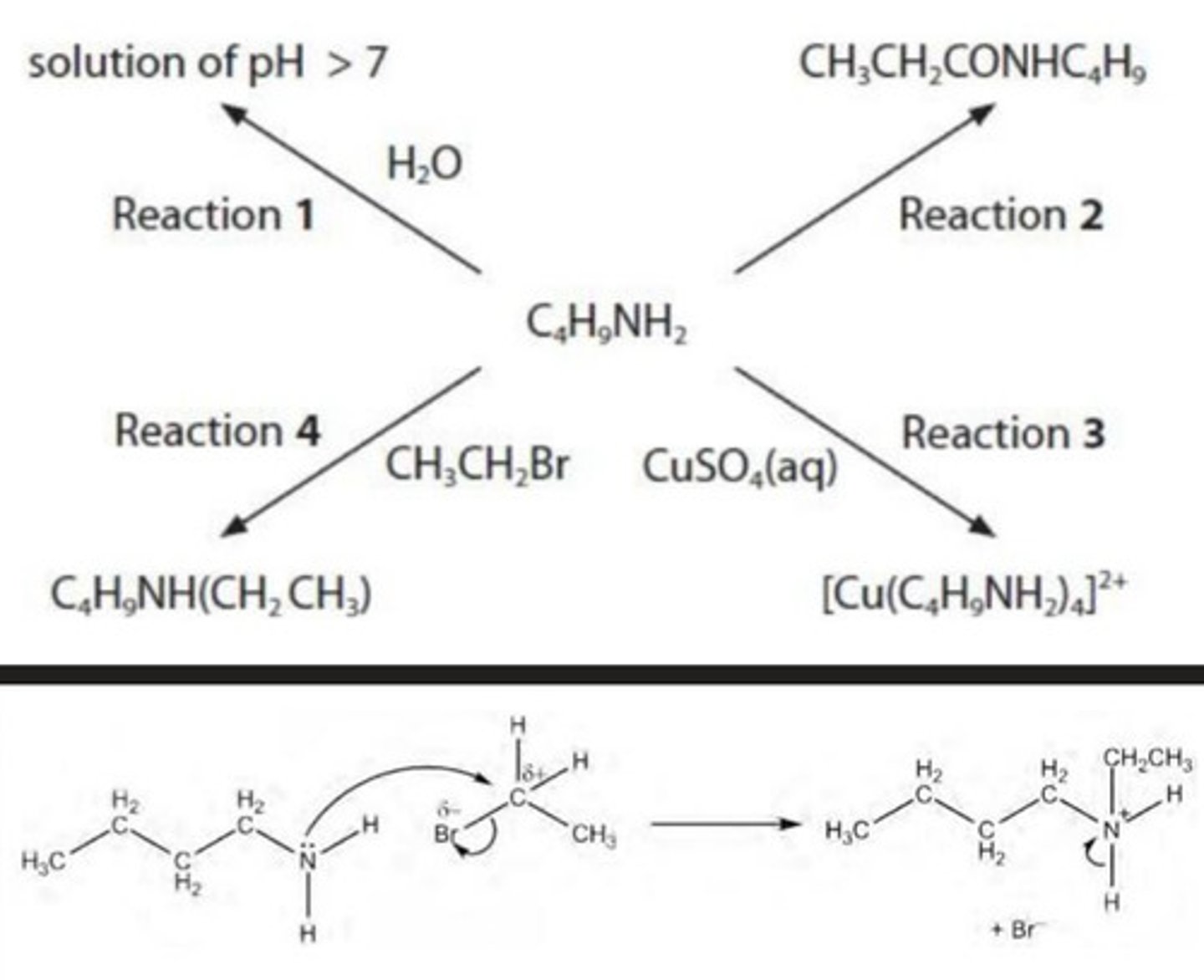 knowt flashcard image