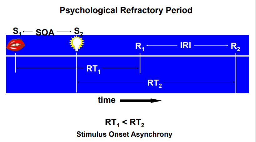 <ul><li><p><span style="background-color: yellow;"><mark data-color="#ffffff" style="background-color: rgb(255, 255, 255); color: inherit;"><span>The amount of time the response to the second stimulus is deteriorated due to the first stimulus</span></mark></span></p></li></ul><p></p>