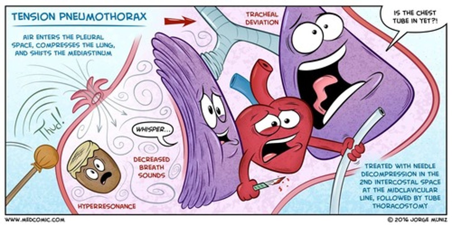 <p>Severe hypoxemia, tracheal deviation away from the affected lung, and hypotension.</p>