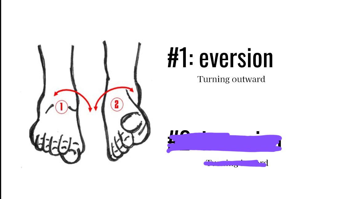 <p>Turning so a foot outward</p>