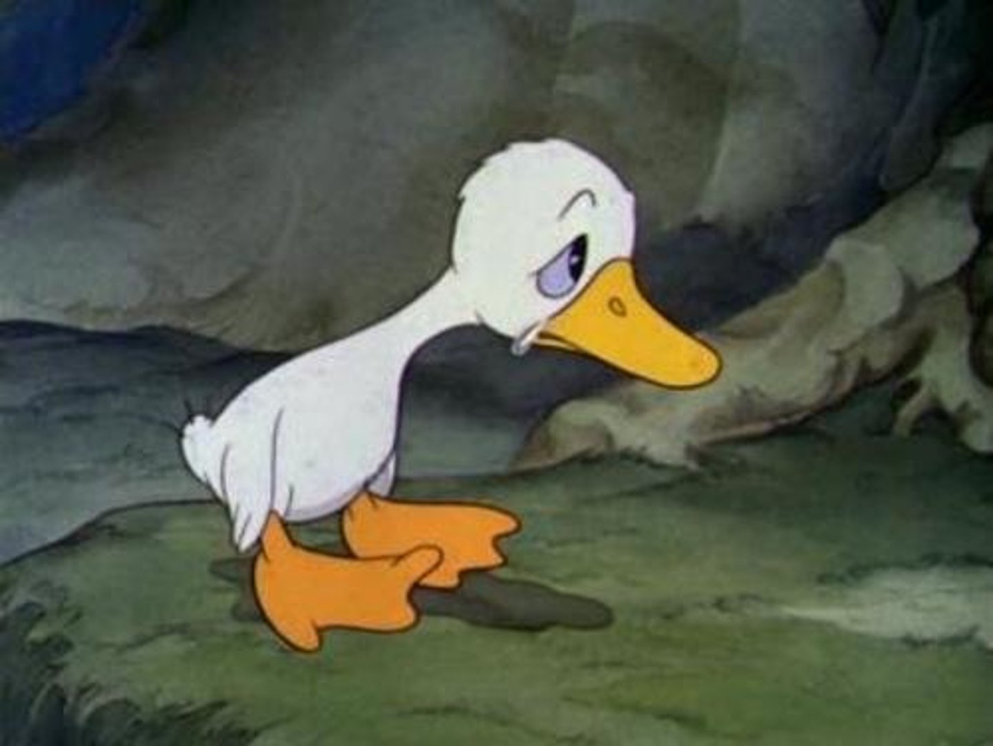 <p>Ugly</p>