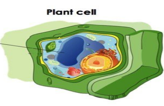 <p>What is this?</p>