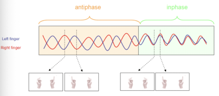 <ul><li><p><strong>Inphase </strong>→ performing a take where you have to flex and extend your fingers, right and left and the same time</p></li><li><p><strong>Antiphase </strong>→ flexing right hand while extending left hand; as you try to move as quick as your can, gradually fall back into inphase</p><ul><li><p>Some people can maintain antiphase → musicians</p></li></ul></li><li><p>Coordination and attentional demands associated with antiphase are so complex moving beyond 5 Hz → no longer can maintain antiphase pattern</p><ul><li><p><strong>Attentional system has a limited capacity </strong>in terms of temporal elements associated with coordination</p></li></ul></li></ul>