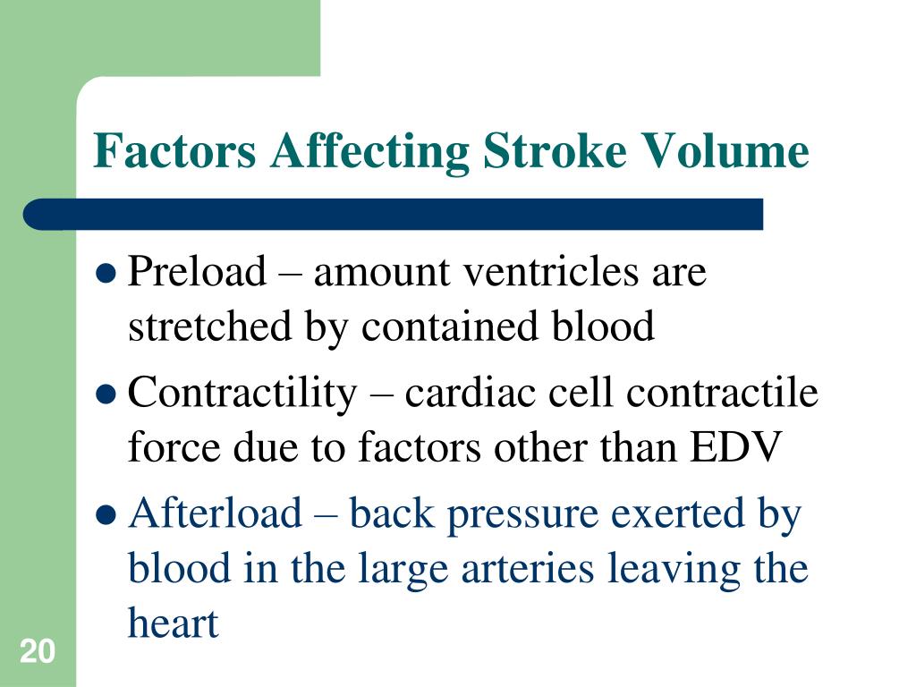 <p><strong>Preload</strong>: degree of stretch of cardiac muscle cells before they contract (Frank-Starling law of the heart)</p><ul><li><p>Increased venous return/volume = increased EDV = increased SV</p></li><li><p>decrease in ESV </p></li></ul><p><strong>Contractility: </strong><span style="color: red"><strong>contractile strength</strong></span> at a given muscle length</p><ul><li><p>Sympathetic stimulation increases contractility (ANS)</p></li><li><p>Independent of muscle stretch &amp; EDV</p></li><li><p>Increased contractility = increased volume ejected = decrease ESV = increase SV</p></li><li><p><span style="color: red">CONTRACTILITY </span>affects ESV</p></li></ul><p><strong>Afterload</strong>: pressure that must be overcome for ventricles to eject blood</p><ul><li><p>Hypertension increases afterload, resulting in increased ESV and reduced SV</p></li><li><p>Greater arterial pressure to overcome impacts amount of blood ejected</p></li><li><p><span style="color: red">increased AFTERLOAD </span>impacts increased ESV = decreased SV</p></li></ul><p></p>