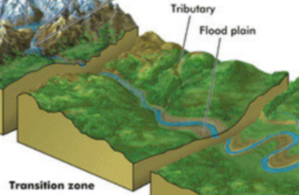 <p>In this zone, which is the middle section of a watershed, streams form the headwaters merge to form wider, deeper, and warmer streams that flow down gentler slopes with fewer obstacles. They can be more turbid (from suspended sediment), slower flowing, and can have less dissolved oxygen than headwaters streams. The warmer water and other conditions in this zone support more producers as well as cool-water and warm-water fish species  (such as black bass) with slightly lower oxygen requirements. As streams flow downhill, they shape the land through which they pass. Over millions of years, the friction of moving water has leveled mountains and cut deep canyons, and rocks and soil removed by the water have been deposed as sediment in low-lying areas.</p>