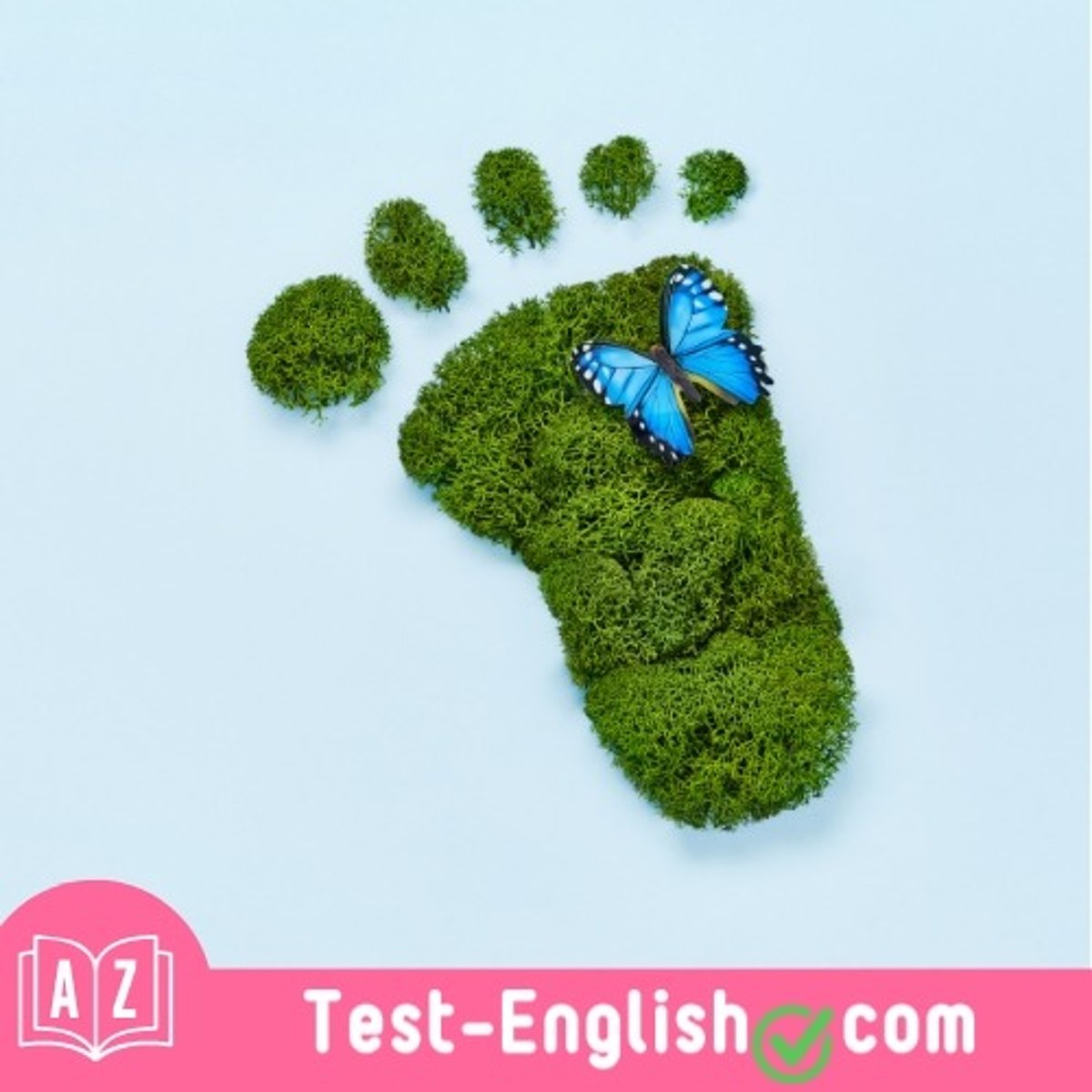 <p>His sustainable lifestyle choices aim to reduce his _____. (2 words)</p>
