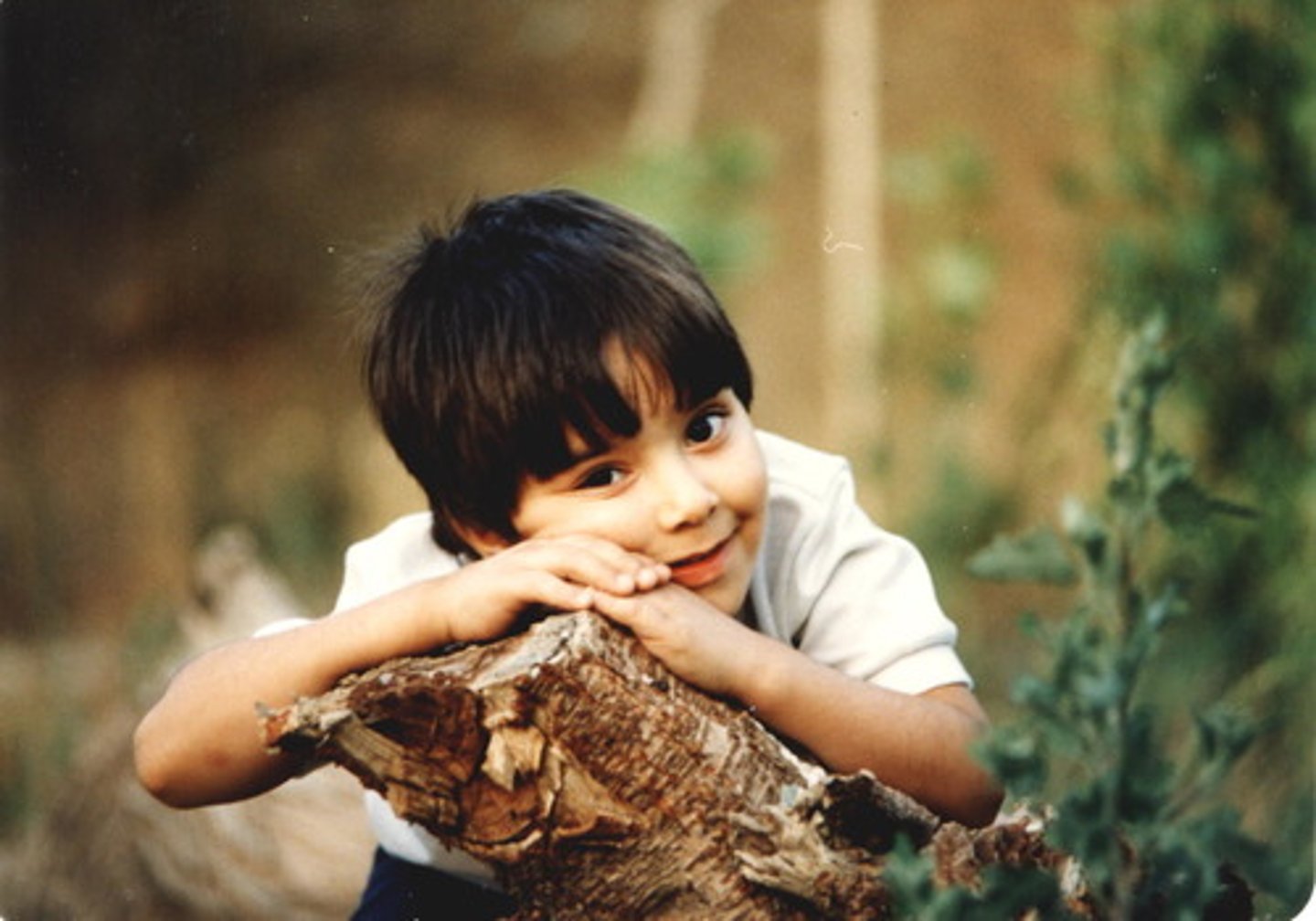 <p>adj. 不关心的，无关的，无忧虑的</p>