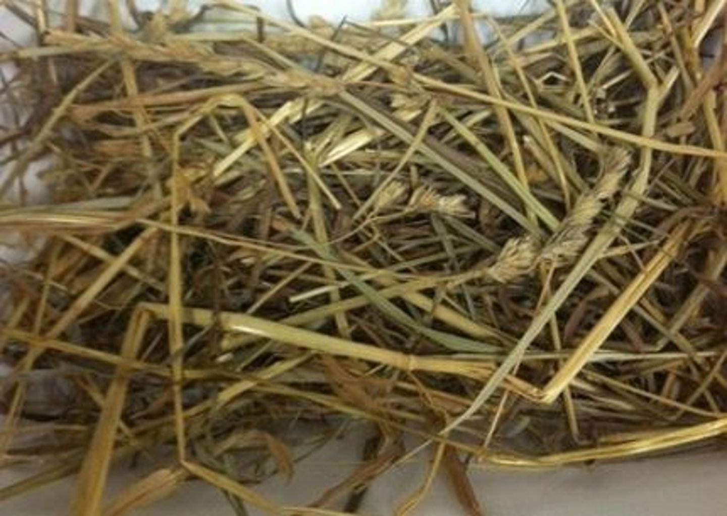 <p>what is the IFN category of this feed?</p>