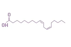 <p>18 carbons, double bonds between 9-10 and 12-13</p>