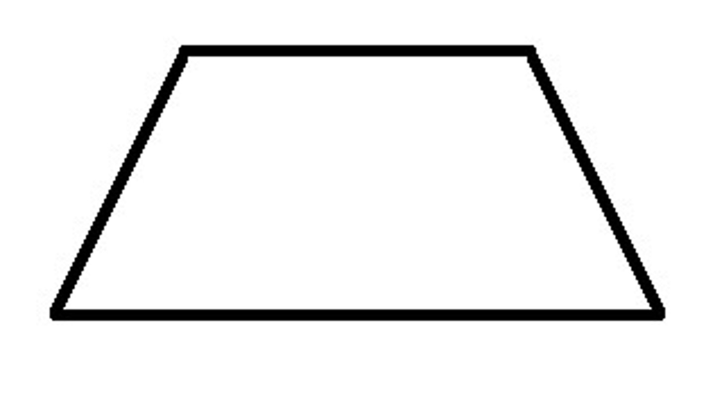 <p>a quadrilateral with only ONE PAIR of parallel sides</p>