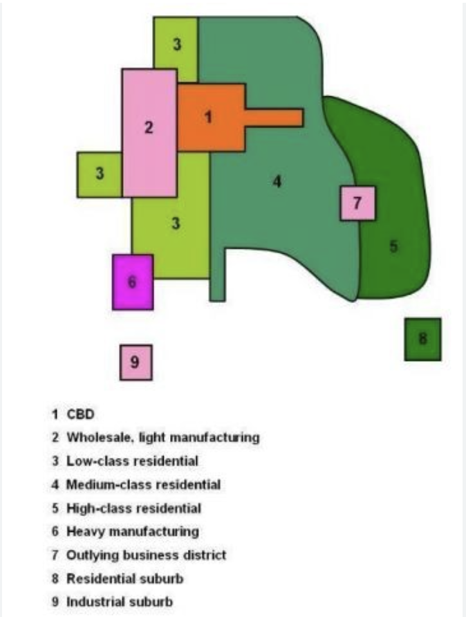 <p>1945</p><p>assumptions</p><ul><li><p>cbd is near original retail</p></li><li><p>warehousing/light industry adjacent to cbd</p></li><li><p>heavy industry on outskirts</p></li><li><p>residential in remaining space</p></li></ul><p>criticisms</p><ul><li><p>may not apply to asia</p></li><li><p>non existence of abrupt divisions</p></li><li><p>negligence of building height</p></li></ul>