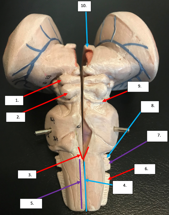 <p>1</p>