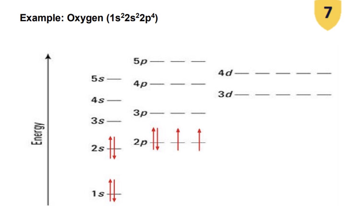 <p>a. a maximum of 2</p><p>b. arrows represent electrons</p><p>c. direction of arrows represents spin of electrons</p><p>d. the electrons occupy orbitals as unpaired electrons rather than paired electrons until they have to be paired up → paired electrons have opposite spin as this reduces the repulsion between the paired electrons</p>