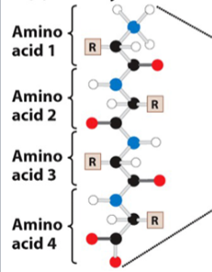 <p>What is this&nbsp;</p>