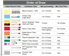 1. Yellow, 2. Light Blue, 3. Red, 4. Gold, Tiger Top, Red/Yellow/Black, 5. Green, Light Green, Green/Gray, 6. Purple/Lavender, 7. Pink, 8. Gray, 9. Royal Blue, 10. Tan

"You Better Remember Gods Loving Grace"