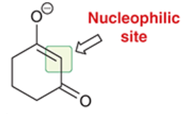 <p>the highly stabilized enolate in a Michael reaction</p><p>the nucleophile</p>