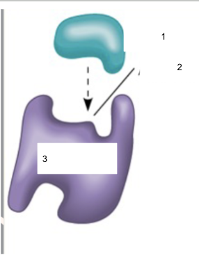 <p>Name parts 1, 2, and 3</p>