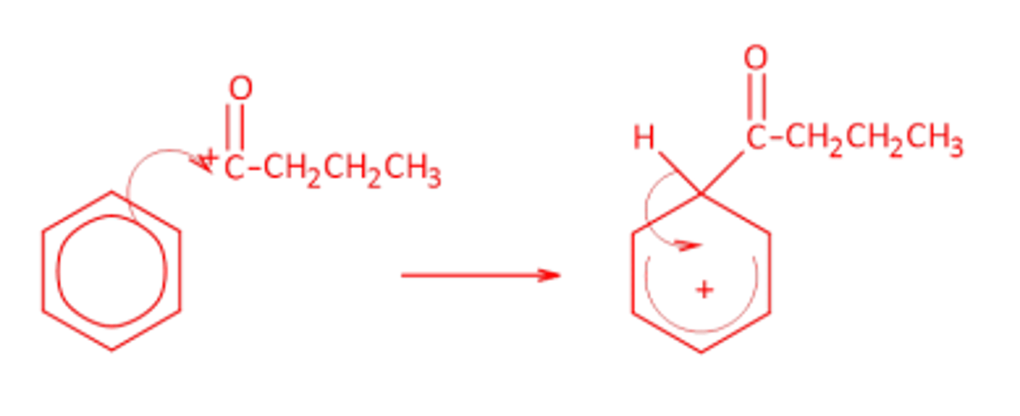 <p>Electrophile: <br>CH3CH2CH2COCl + AlCl3 -&gt; CH3CH2CH2C+O + AlCl4-<br><br>Catalyst regeneration: <br>AlCl4- + H+ -&gt; AlCl3 + HCl</p>