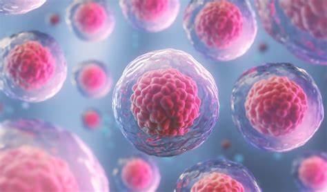 <p>Why did scientists choose <strong>cells </strong>as a criteria for life?</p>