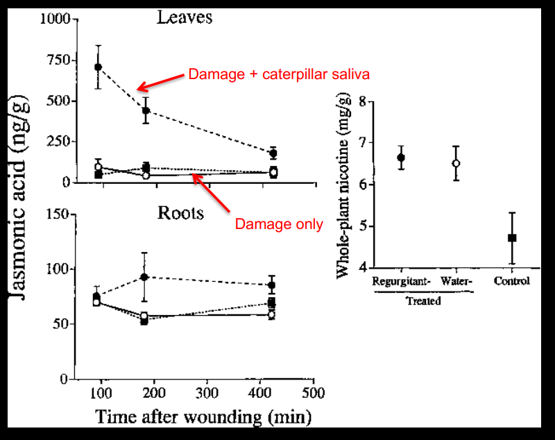 <p>Explain this graph</p>