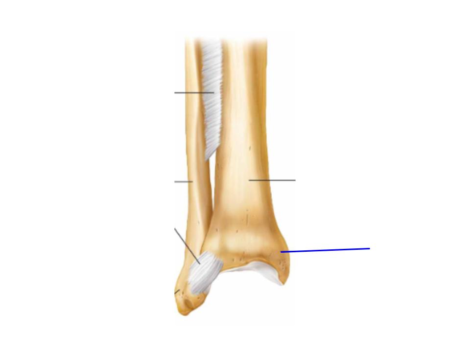 <p>What is this image pointing at? </p>