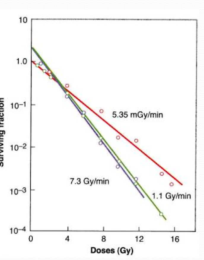 <p>high dose rates <strong><u>and really small dose rates!</u></strong></p>