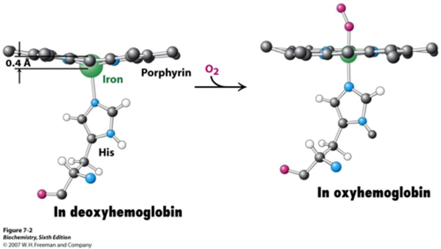 <p>ferrous (2+)</p>