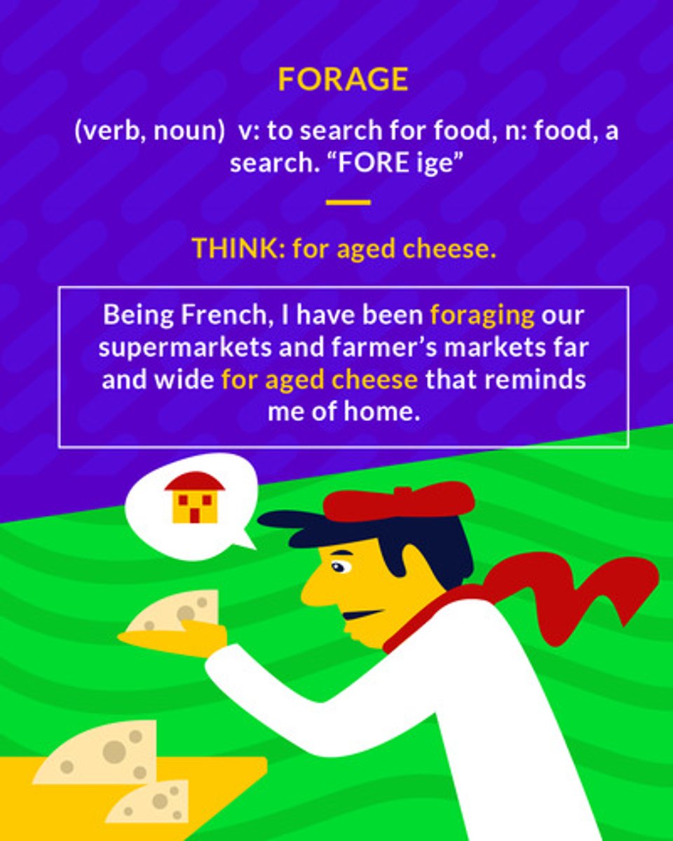 <p>to search for food or provisions</p><ol><li><p>(verb) to search for food</p></li><li><p>(noun) food</p></li><li><p>(noun) a search</p></li></ol><p></p>