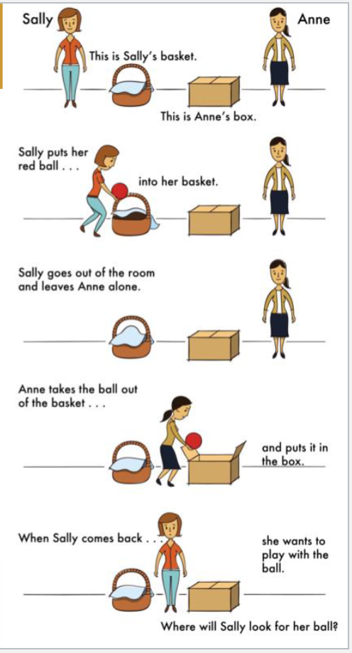 <p>Classic TOM test. </p><p>Questions:</p><p>• Where does Sally search for the ball? (belief)</p><p>• Where is the ball? (reality check)</p><p>• Where was the ball in the beginning? (memory check)</p><p></p><p>If children answer the basket = sign of TOM.</p><ul><li><p>If children pass the false belief test, they understand that people act upon their <em>beliefs</em> about the world rather than an objective reality.</p></li></ul><p></p>