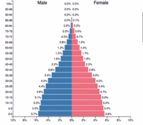 <p>What stage is this population pyramid in?</p>