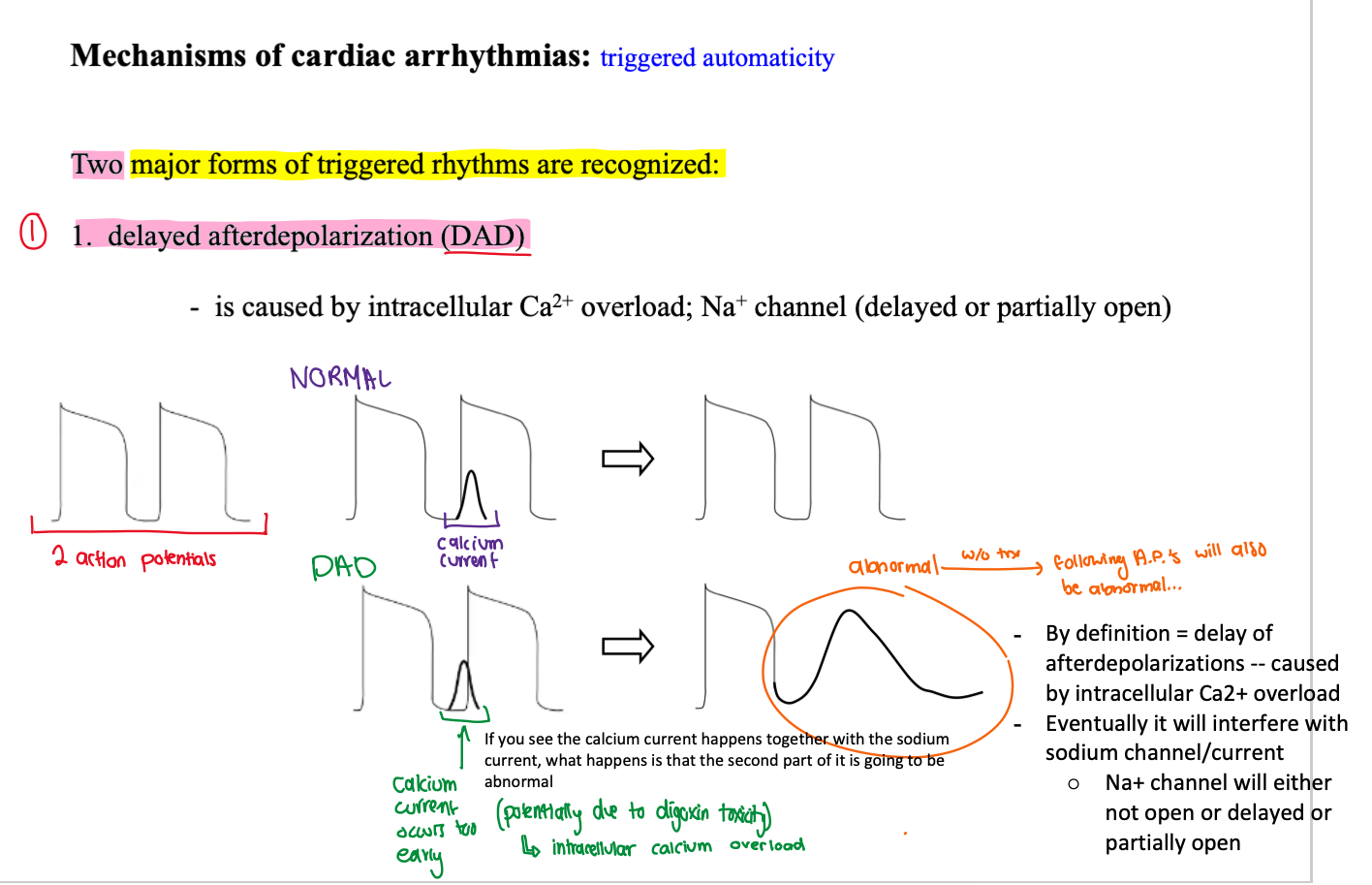 <ul><li><p><span>By definition = delay of afterdepolarizations -- caused by intracellular Ca2+ overload</span></p></li><li><p><span>Eventually it will interfere with sodium channel/current</span></p><ul><li><p><span>Na+ channel will either not open or delayed or partially open</span></p></li></ul></li></ul><p></p>