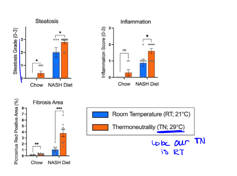 <p>again showed that NASH diet at TN offers the best resemblance to human MASH</p>
