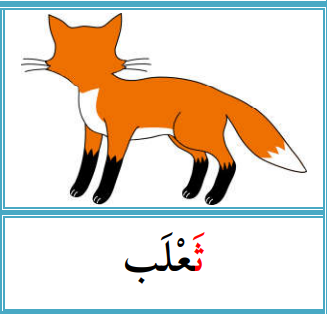 knowt flashcard image