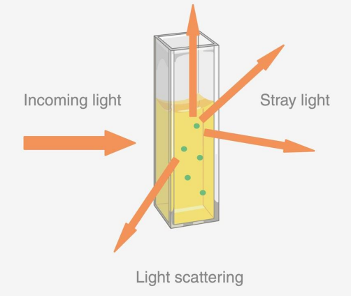 <p>-all light losses, including scattering</p>