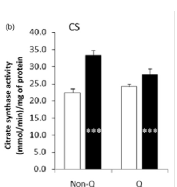 <p>Graph shoes how antioxidants result in less citrate synthases activity after exercise training, as opposed to a group who did not take antioxidants- antioxidants inhibit the signal produced by the increased need for mitochondria (the increasing levels of free radicals)</p>