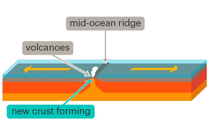 <p>The formation of new oceanic crust at a mid-ocean ridge</p><p>The discovery of seafloor spreading provided new evidence for continental drift theory.</p>