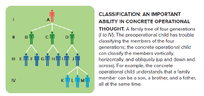 <p>Concrete operational stage</p><ul><li><p>Understanding of <strong>class inclusion</strong>: logical understanding that parts are included in the whole.</p><ul><li><p>Classic test: are there more dogs or more animals in this picture?</p><ul><li><p>Answer preoperational stage: dogs</p></li><li><p>Answer concrete operational stage: animals</p></li></ul></li></ul></li></ul><p></p>