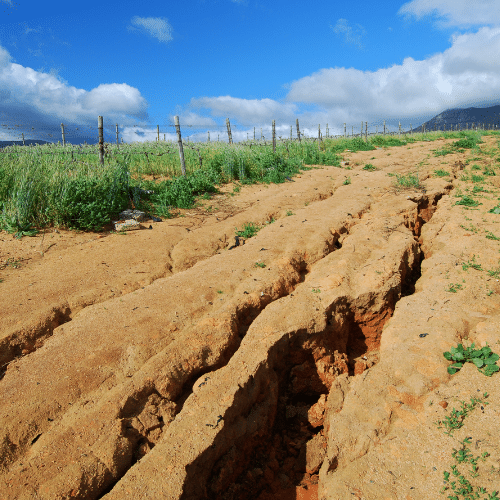 <p>(v) Heavy rains and poor land management can _____ fertile topsoil.</p>