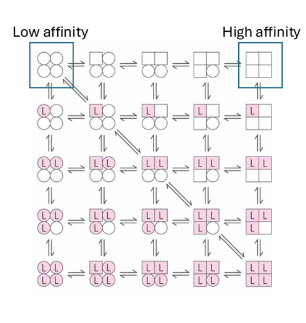 <p>sequential model </p><p>change induces change </p><p>more generizable </p><p>look at subunits with independent functions </p>