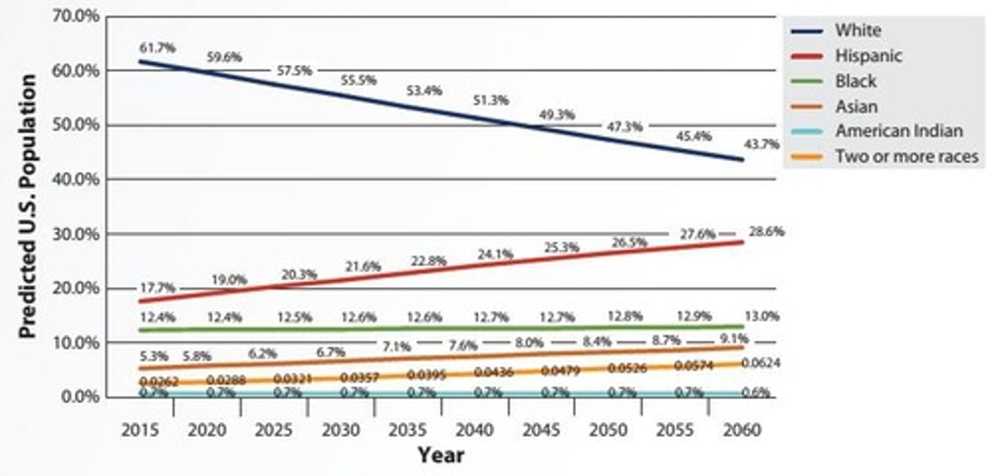 <p>It primarily focuses on surface-level diversity dimensions like sex, race, and ethnicity.</p>