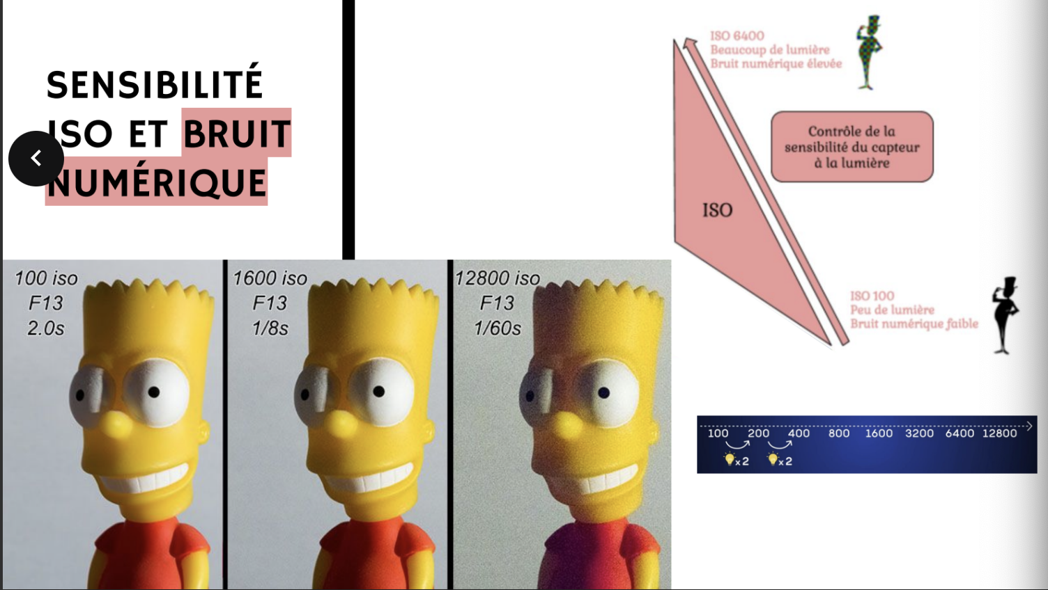 <p>la sensibilité ISO, bruit numérique</p>