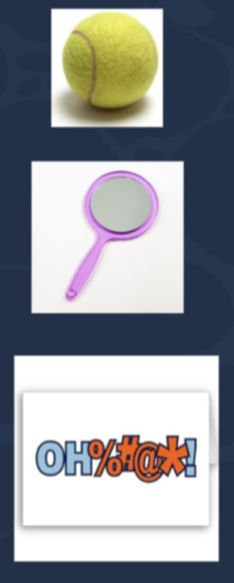 <p>1. have pt cover good eye, then throw a tennis ball to see if pt reacts</p><p>2. Troost's test = have pt cover good eye, pass a mirror in front of their face to see if there is an OKN movement</p><p>3. pass an offensive word written on a card in front of the pt to see if there is any facial expression/pupil dilation</p>