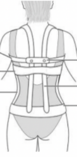 <p>Identify Parts</p>