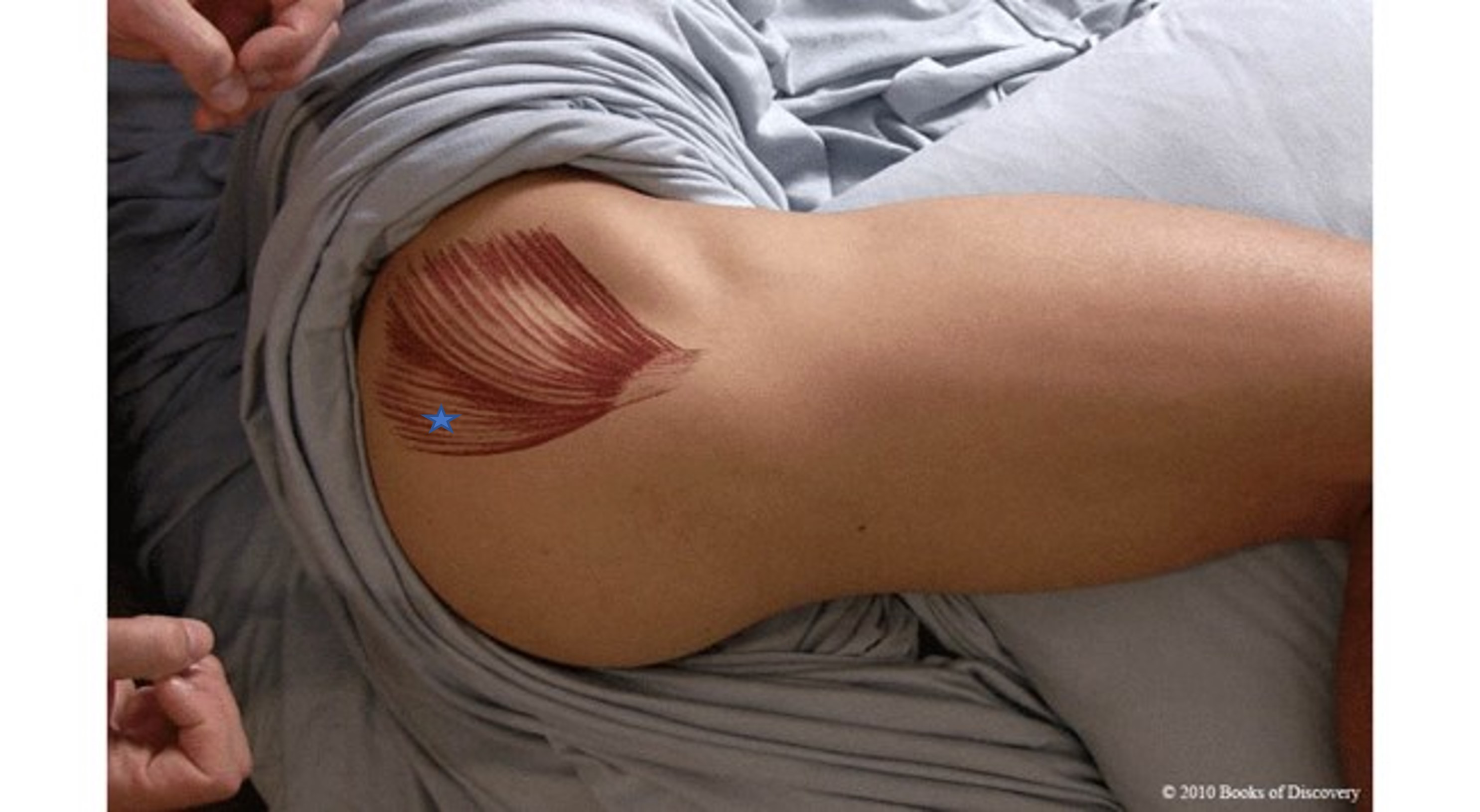 <p><span>From the list of muscles and actions below, identify the "starred" muscle and its primary actions. NOTE: There are several primary actions...do not choose actions where the muscle assists.</span></p><p><span><span>A) Flex the hip</span></span></p><p><span><span>B) Posterior fibers of gluteus medius</span></span></p><p><span><span>C) Abduct hip</span></span></p><p><span><span>D) Medially rotate hip</span></span></p><p><span><span>E) Anterior fibers of gluteus medius</span></span></p><p><span><span>F) Adduct hip</span></span></p><p><span><span>G) Gluteus maximus</span></span></p><p><span><span>H) Gluteus minimus</span></span></p><p><span><span>I) Laterally rotate hip</span></span></p><p><span><span>J) Extend hip</span></span></p>