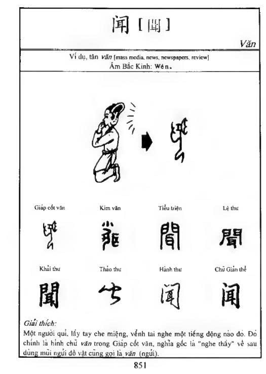 <p>新闻</p>