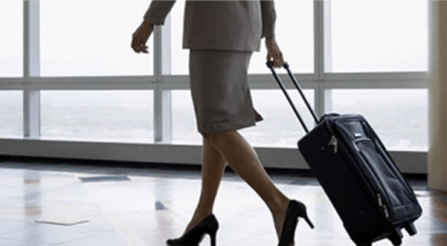 <p>carry-on bag</p>