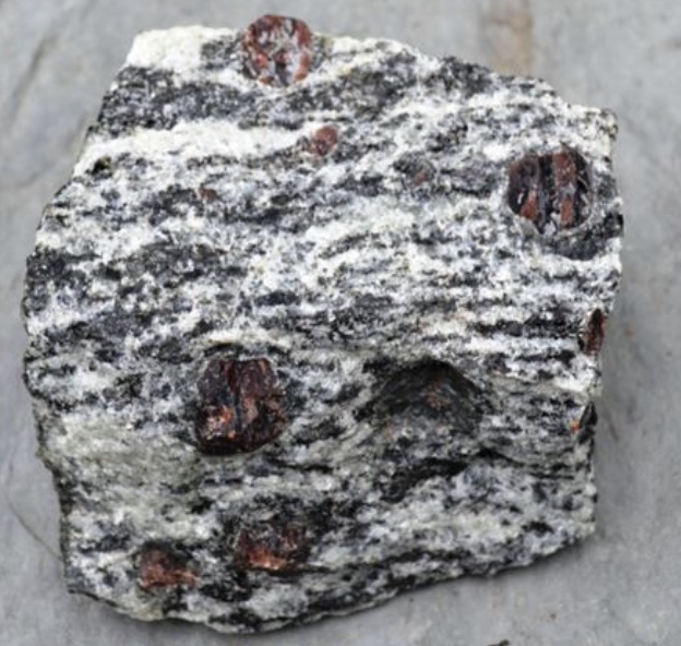 <p><span style="color: rgb(23, 22, 22)"> a metamorphic mineral,<br>Typically larger than the matrix mineral grain</span></p>
