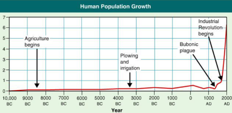 <p>7500 BCE – first permanent settlements based on agriculture become common</p><p>4000-2000 BCE – ‘cities’ develop</p><p>Slow but steady population growth until...</p><p>Population explosion during industrialization</p>